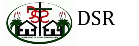 Graphic logo: DSR