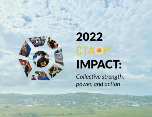 2022CTAOPimpact